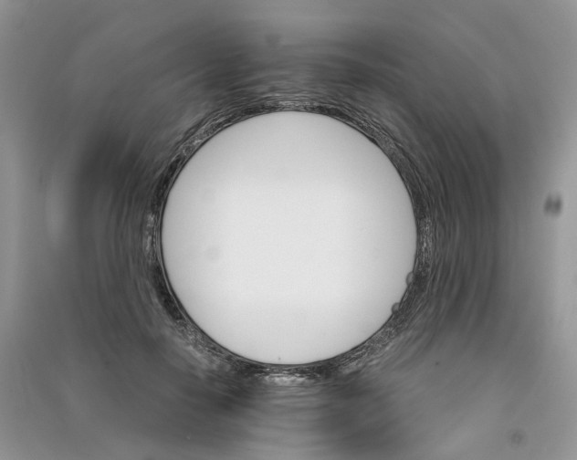 X0000090920650200708131434