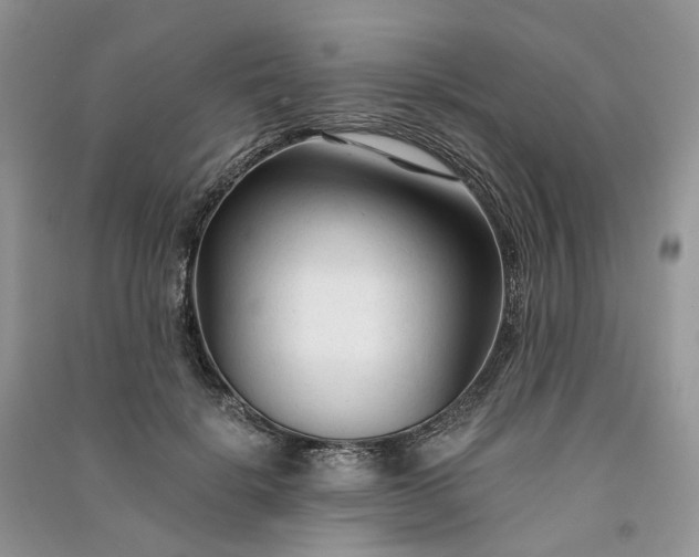 X0000090920652200708131434