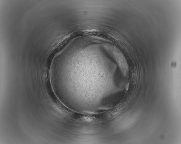 X0000090920654200708131434