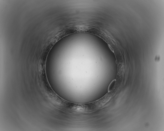 X0000090920655200708131434