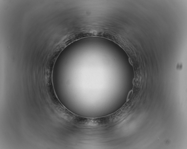 X0000090920656200708131434