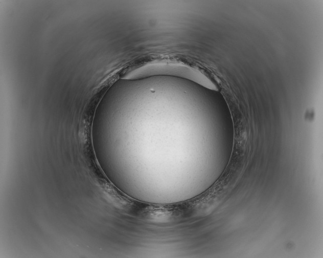 X0000090920658200708131434