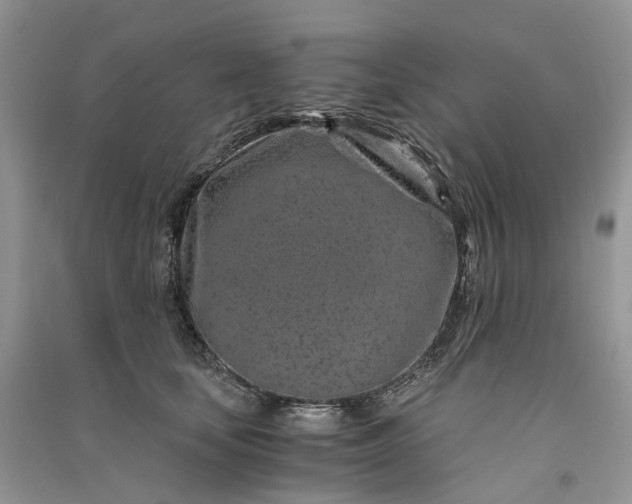 X0000090920659200708131434