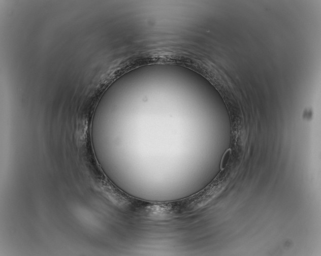 X0000090920660200708131434