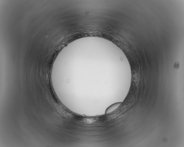 X0000090920662200708131434