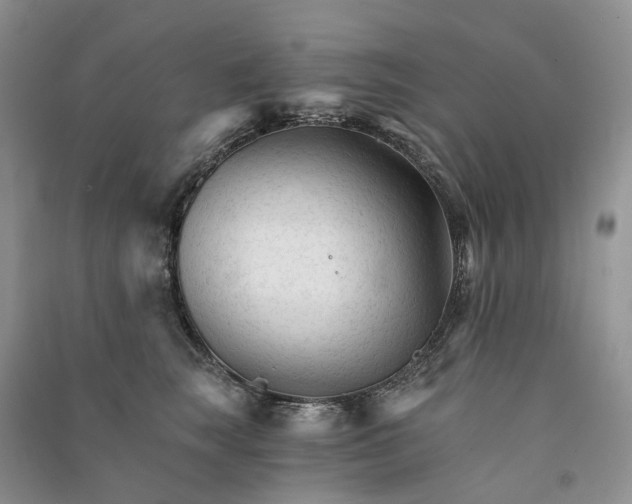 X0000090920663200708131434