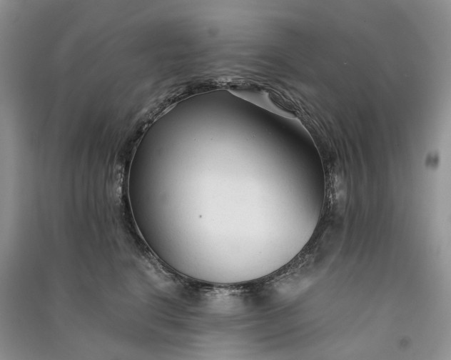 X0000090920664200708131434