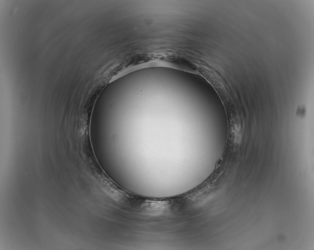 X0000090920665200708131434