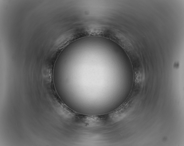 X0000090920666200708131434