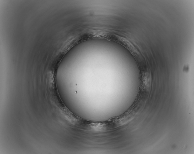 X0000090920667200708131434