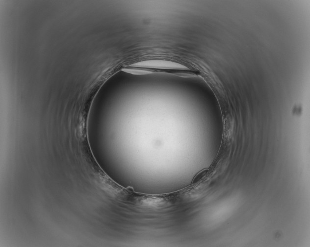 X0000090920669200708131434