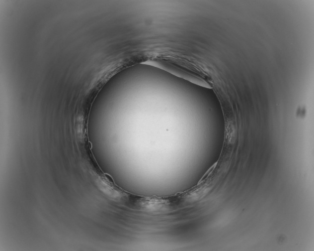 X0000090920670200708131434