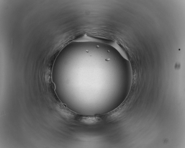 X0000090920671200708131434