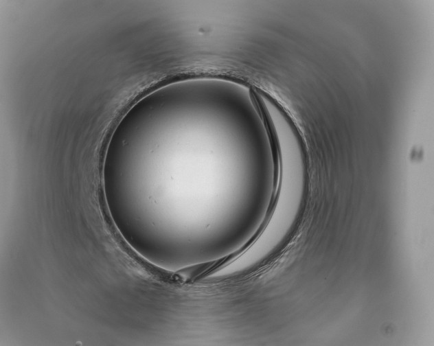 X0000090920673200708131434