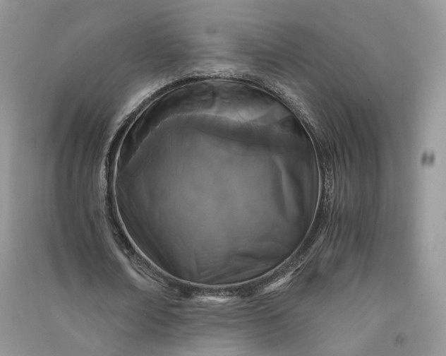 X0000090920674200708131434