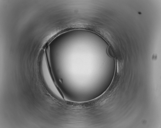 X0000090920675200708131434