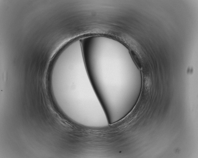 X0000090920676200708131434