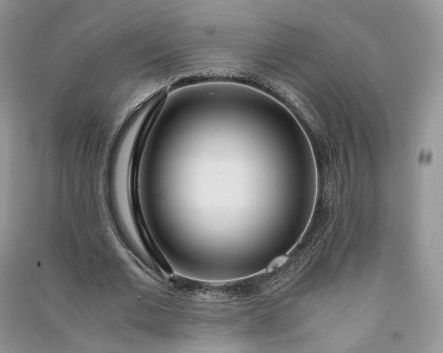 X0000090920677200708131434