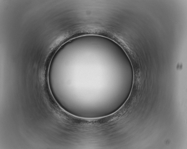 X0000090920679200708131434