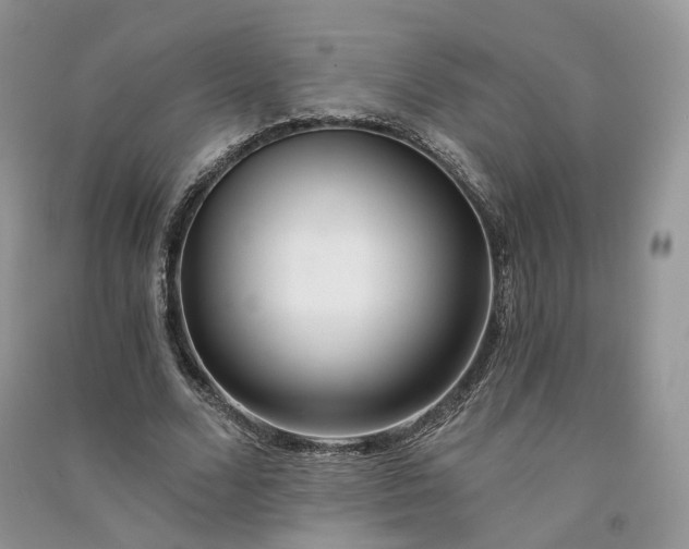 X0000090920680200708131434