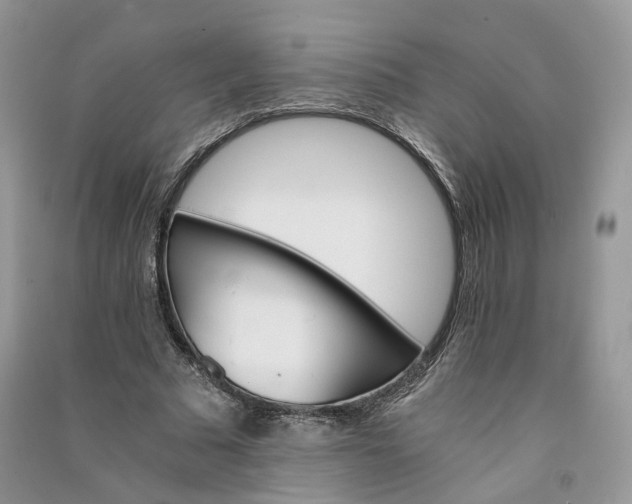 X0000090920681200708131433