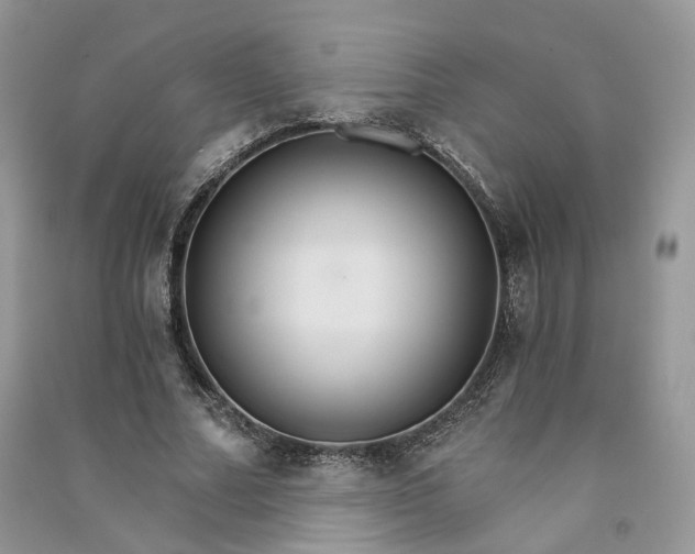 X0000090920682200708131433