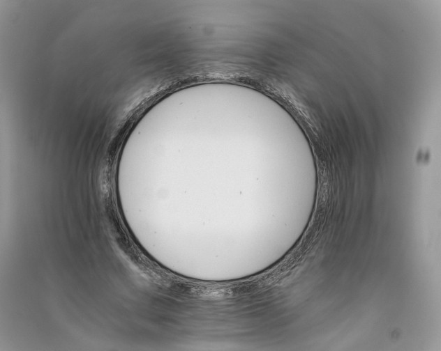 X0000090920683200708131433