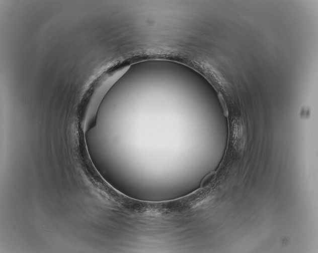 X0000090920684200708131433