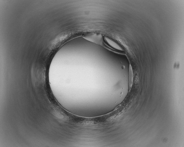 X0000090920685200708131433