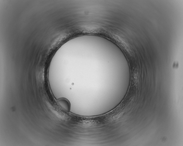 X0000090920686200708131433