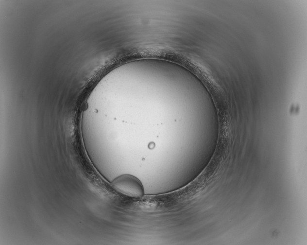 X0000090920687200708131433