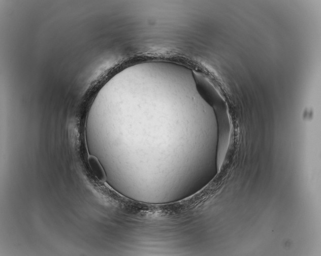 X0000090920688200708131433