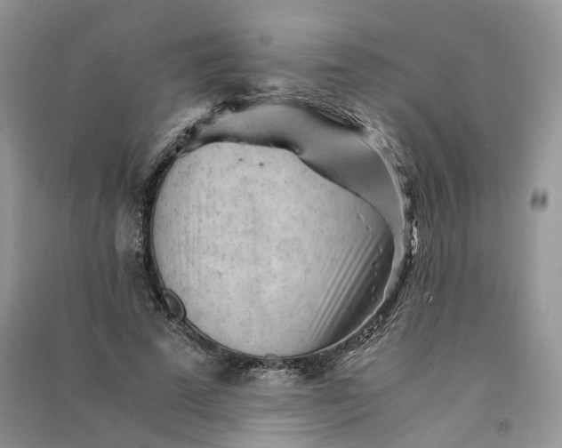 X0000090920689200708131433