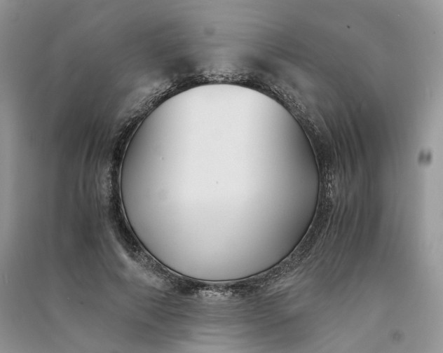 X0000090920690200708131433