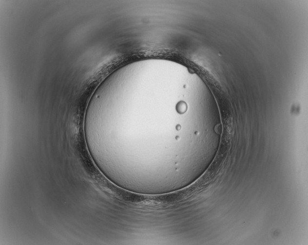 X0000090920691200708131433