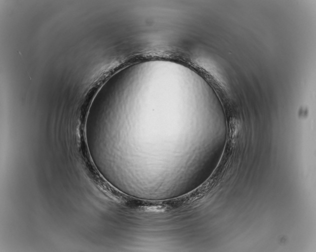 X0000090920692200708131433