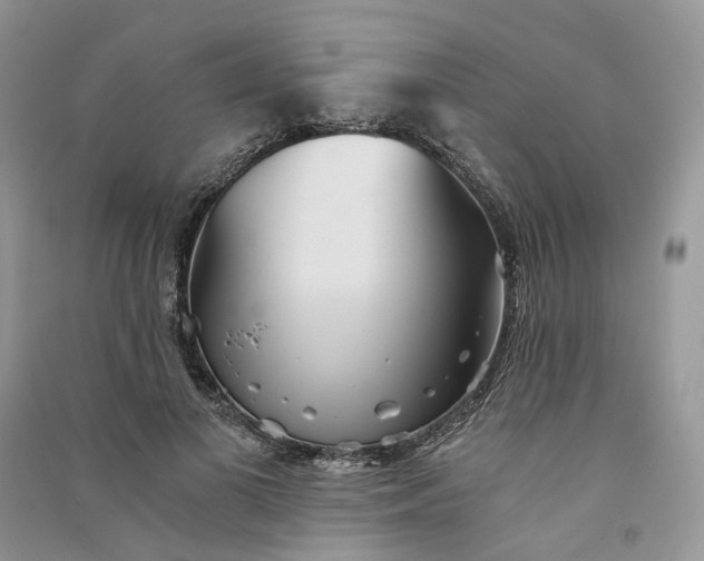 X0000090920693200708131433