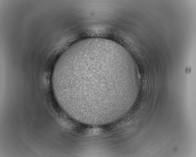 X0000090920695200708131433