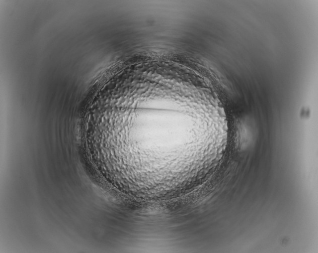 X0000090920696200708131433