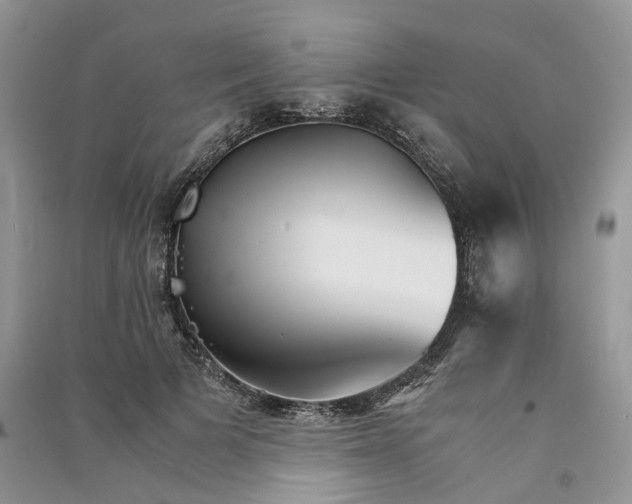 X0000090920697200708131433