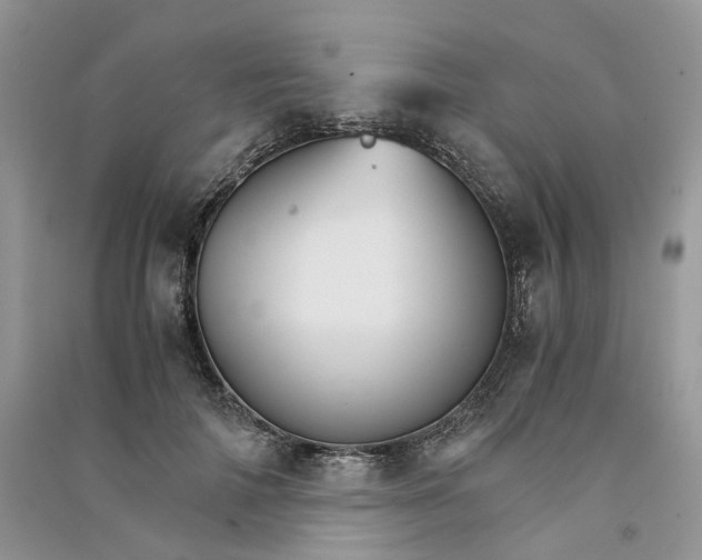 X0000090920698200708131433