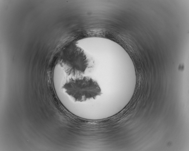 X0000090920699200708131433