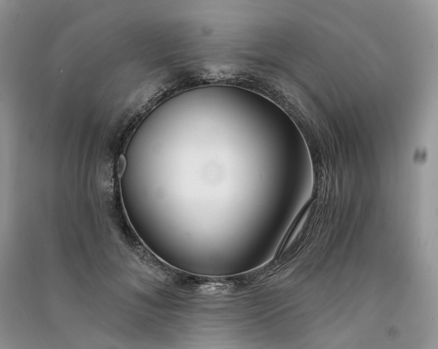 X0000090920700200708131433