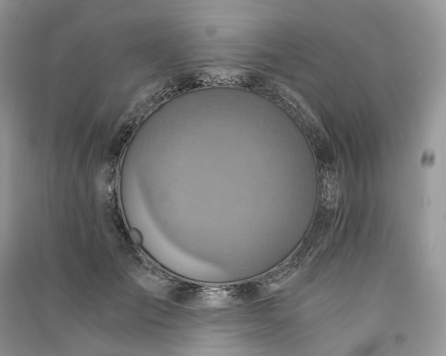 X0000090920701200708131433