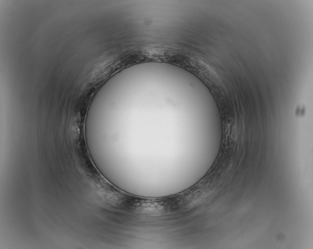 X0000090920702200708131433