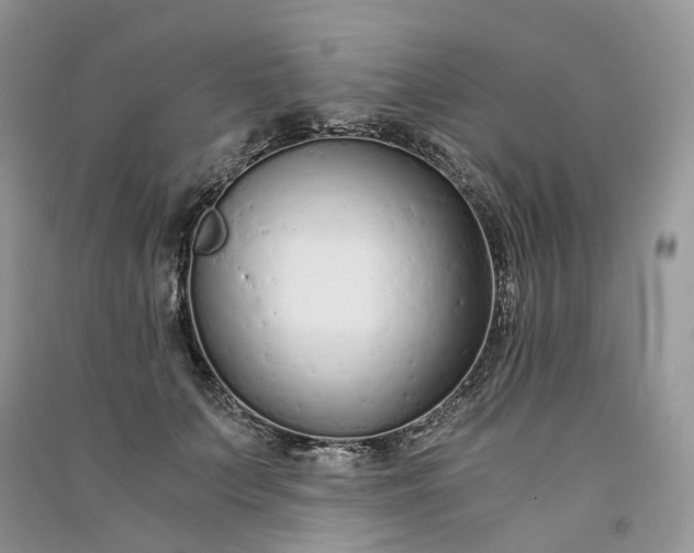 X0000090920703200708131433