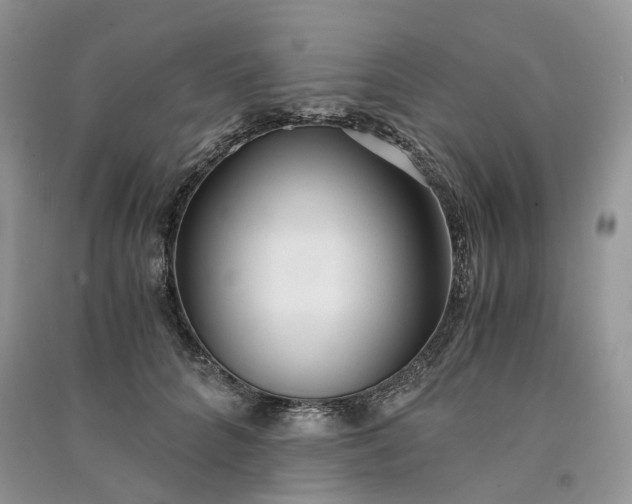 X0000090920704200708131433