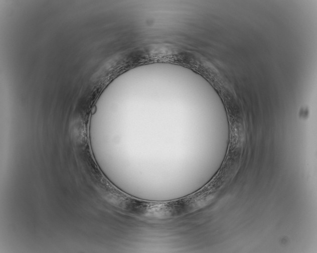 X0000090920705200708131433