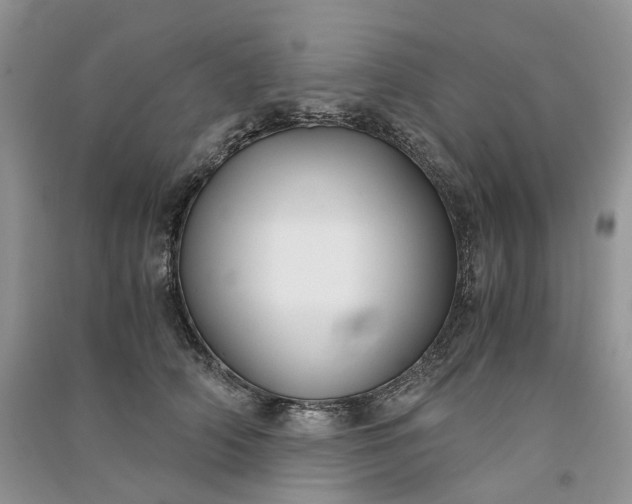 X0000090920706200708131433