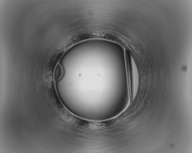 X0000090920707200708131433